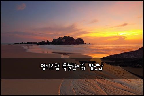 ์ ๊ธฐ๋ณดํ ํน๋ณํ์ด์ ๋ช๋
๋ฉ
