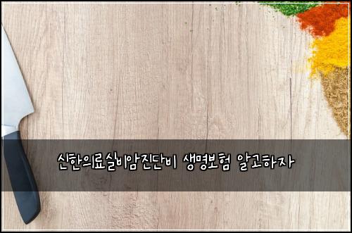 신한의료실비암진단비 생명보험 알고하자 