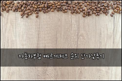 자동차보험 빠르게체크  순위 단가낮추기