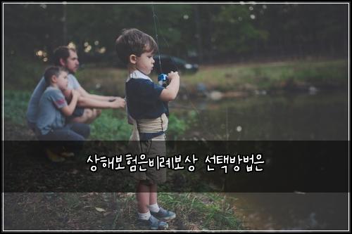 μν΄λ³΄νμλΉλ‘보μ μ νλ°©λ²μ
