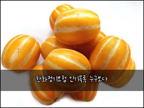 한화정기보험 인기목록  누구보다