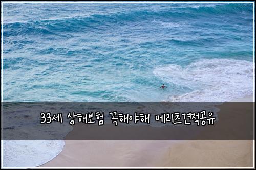 33세 상해보험 꼭해야해  메리츠견적공유