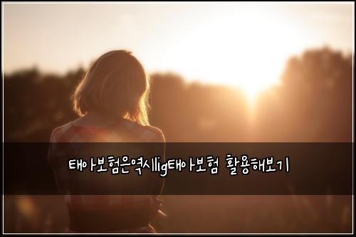 태아보험은역시lig태아보험 활용해보기