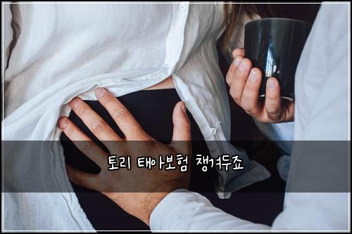 토리 태아보험 챙겨두죠 
