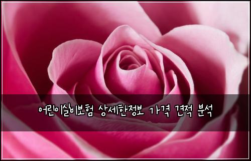 ์ด๋ฆฐ์ด์ค๋น๋ณดํ ์์ธํ์ ๋ณด ๊ฐ๊ฒฉ ๊ฒฌ์ ๋ถ์
