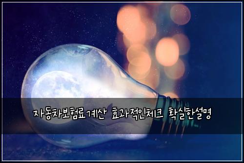 자동차보험료계산 효과적인체크 확실한설명