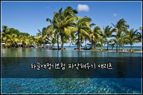 하늘애정기보험 파악해두기  매리츠