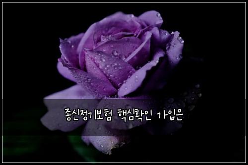 종신정기보험 핵심확인  가입은