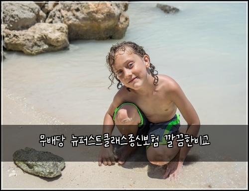 무배당 뉴퍼스트클래스종신보험 깔끔한비교 