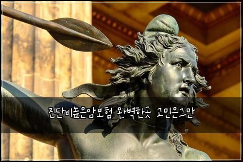 진단비높은암보험 완벽한곳  고민은그만