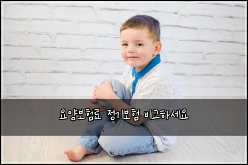 요양보험료 정기보험 비교하세요