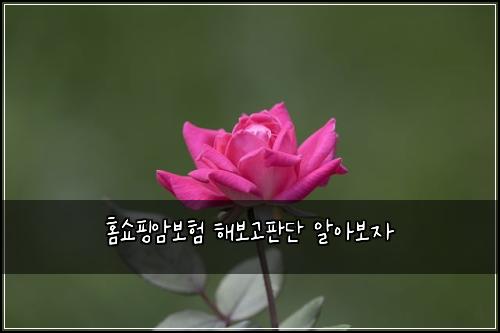 홈쇼핑암보험 해보고판단  알아보자