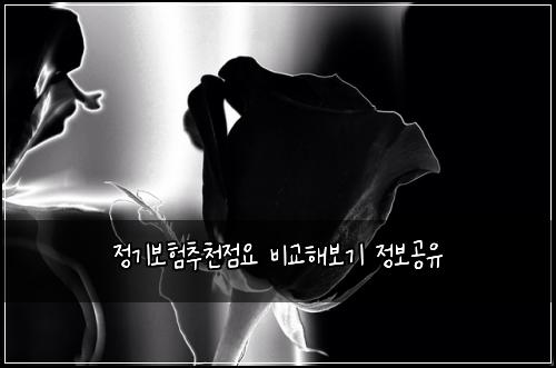 정기보험추천점요 비교해보기 정보공유