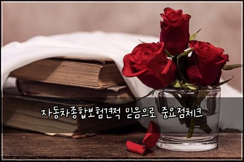 자동차종합보험견적 믿음으로 중요점체크