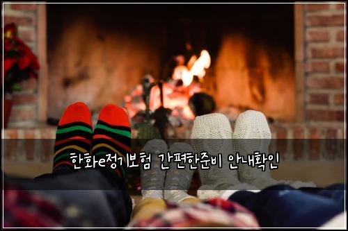 한화e정기보험 간편한준비  안내확인