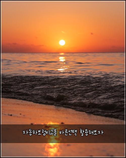 자동차보험비교몰 바른선택 활용해보자