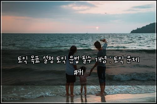 토익 목표 설정 토익 문법 필수 개념 : 토익 문제 #41