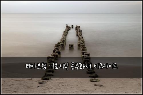 ํ์๋ณดํ ๊ธฐ์ด์ง์ ๋๋ถํ์ฌ ๋น๊ต์ฌ์ดํธ