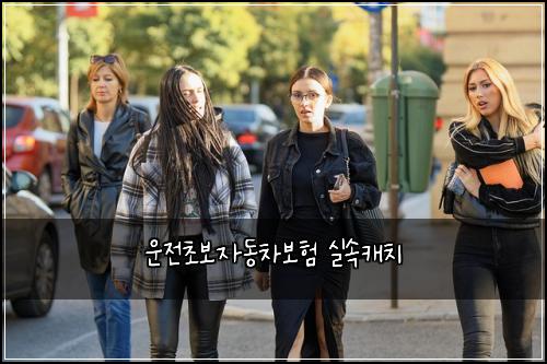 운전초보자동차보험 실속캐치 