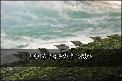 어린이실비보험 분석현황  쉬었다