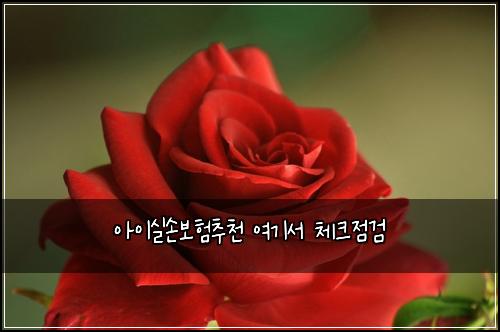 μμ΄μ€μ보νμΆμ² μ¬κΈ°μ 체ν¬μ κ²