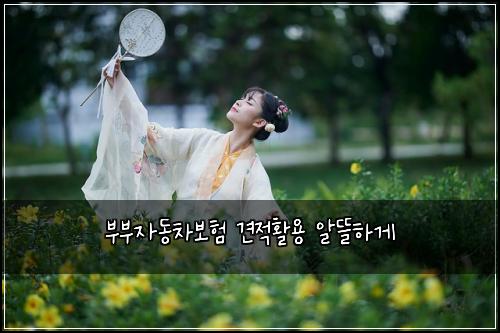 부부자동차보험 견적활용  알뜰하게
