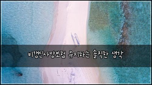 비갱신사망보험 유지하는 솔직한 생각