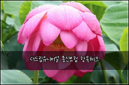 ๋๋๋ฆผ์ ๋๋ฒ์ค ์ข
์ ๋ณดํ ํญ๋ชฉ์ฒดํฌ