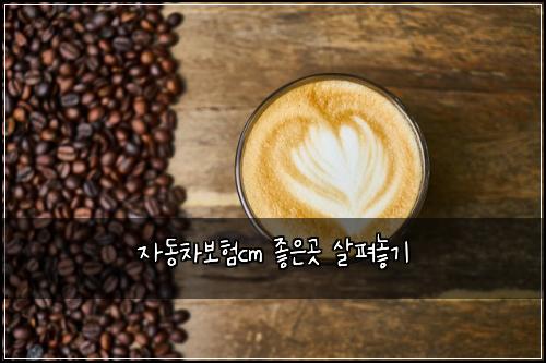 자동차보험cm 좋은곳 살펴놓기