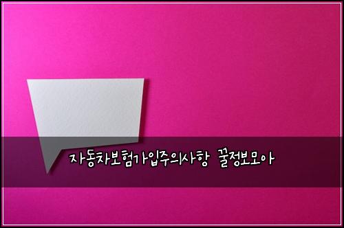 자동차보험가입주의사항 꿀정보모아