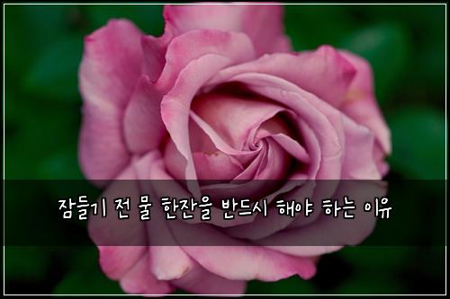 잠들기 전 물 한잔을 반드시 해야 하는 이유