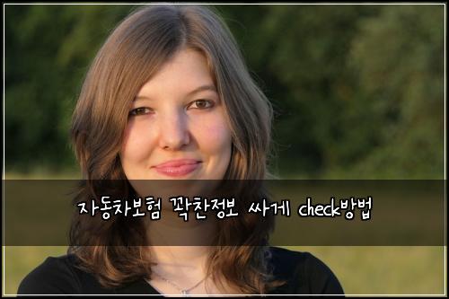์๋์ฐจ๋ณดํ ๊ฝ์ฐฌ์ ๋ณด ์ธ๊ฒ check๋ฐฉ๋ฒ