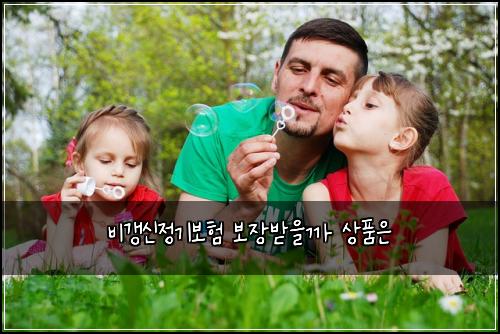 비갱신정기보험 보장받을까  상품은