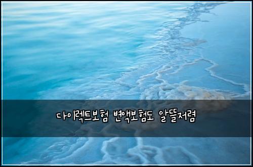 다이렉트보험 변액보험도 알뜰저렴