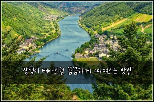 생생이 태아보험 꼼꼼하게 따져보는 방법