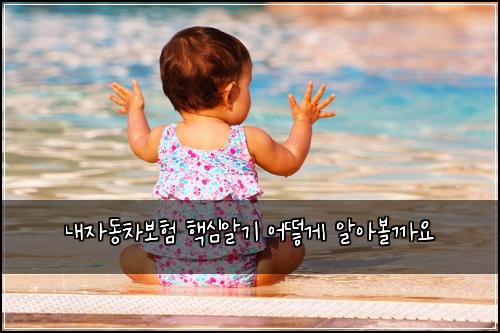 λ΄μλ차보ν ν΅μ¬μκΈ° μ΄λ»κ² μμλ³ΌκΉμ
