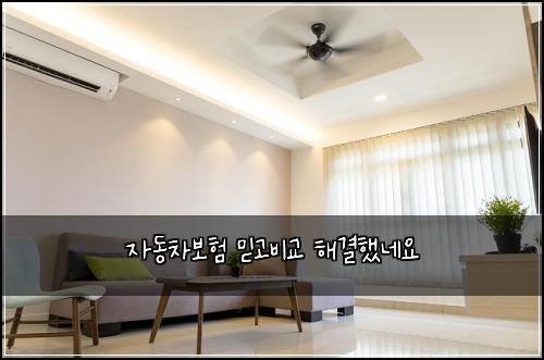 자동차보험 믿고비교  해결했네요