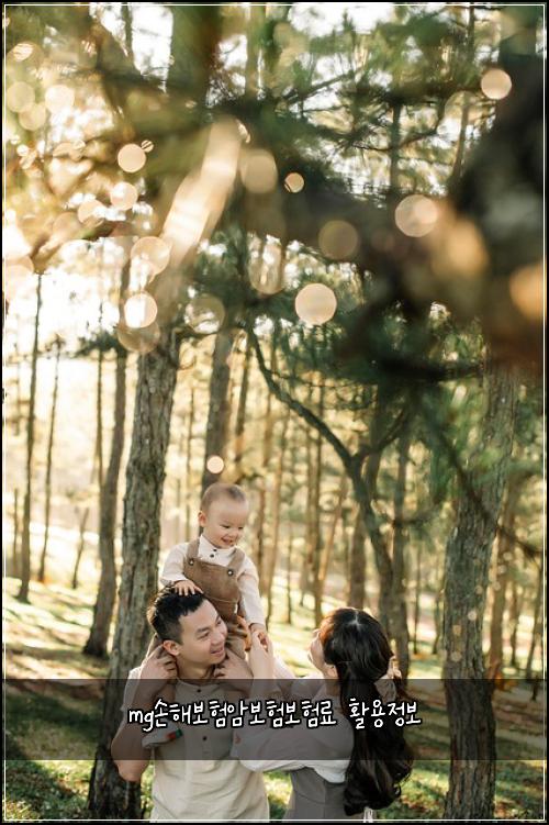 mg손해보험암보험보험료 활용정보