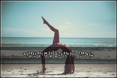 저렴한정기보험 효과적이게  견적비교