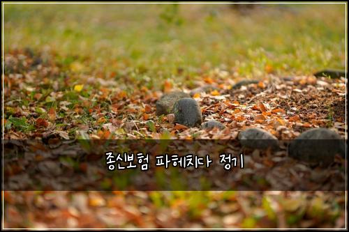 종신보험 파헤치다  정기