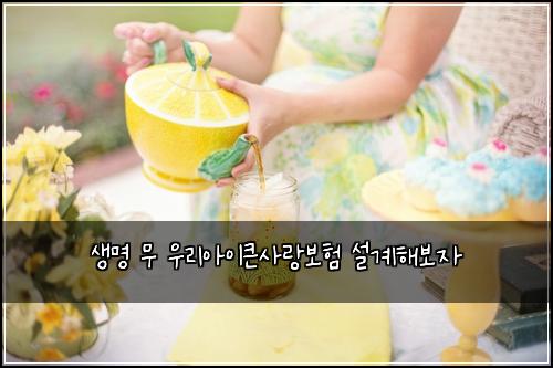 생명 무 우리아이큰사랑보험 설계해보자 