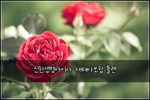 신한생명아이사 재태아보험 플랜 