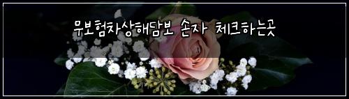 무보νμ°¨μν΄λ΄λ³΄ μμ 체ν¬νλκ³³