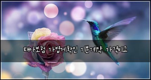 태아보험 가볍게확인  기본계약 가격비교
