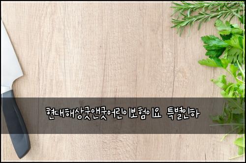 현대해상굿앤굿어린이보험이요 특별인하