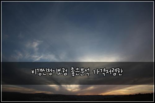 비갱신정기보험 좋은분석  가격저렴한