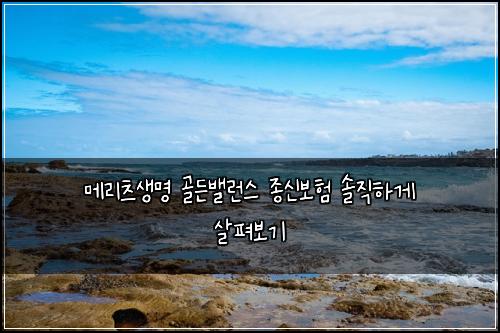 메리츠생명 골든밸런스 종신보험 솔직하게 살펴보기