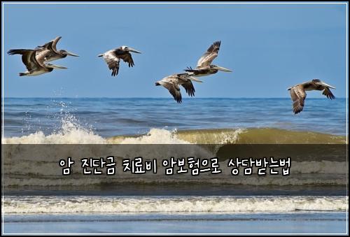 암 진단금 치료비 암보험으로 상담받는법