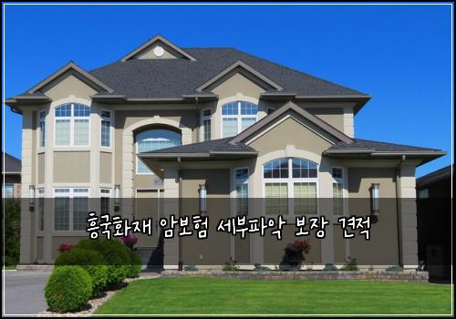 흥국화재 암보험 세부파악  보장 견적
