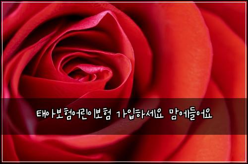 태아보험어린이보험 가입하세요 맘에들어요